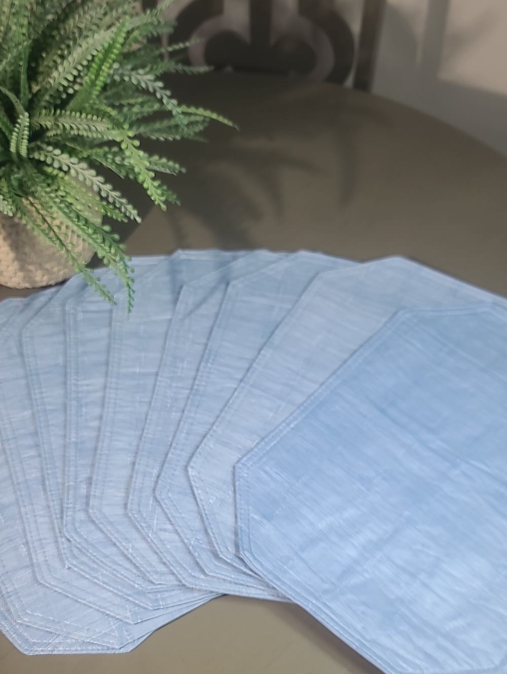 Light Blue Cleanable Placemat Set - Home Dining Set Of 10